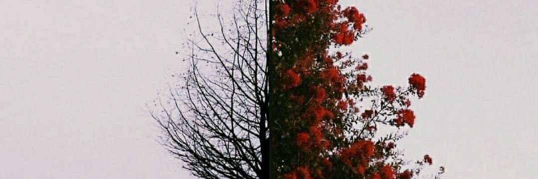 evaiprado703's profile banner image