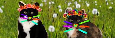 shebeenqueen66's profile banner image