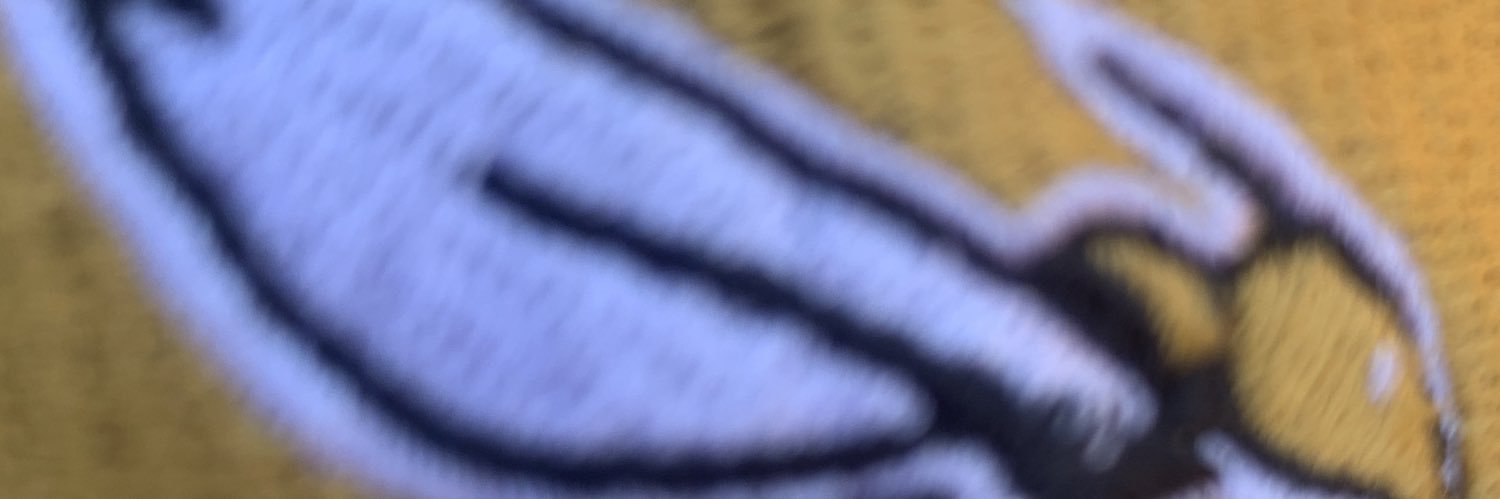 srgray355's profile banner image