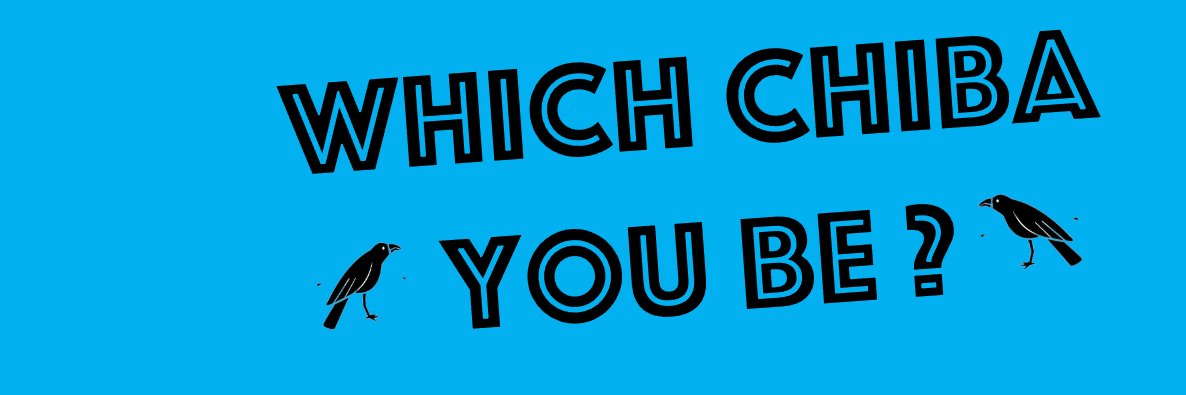 SChibas's profile banner image