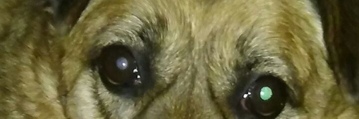 Kary33leo's profile banner image