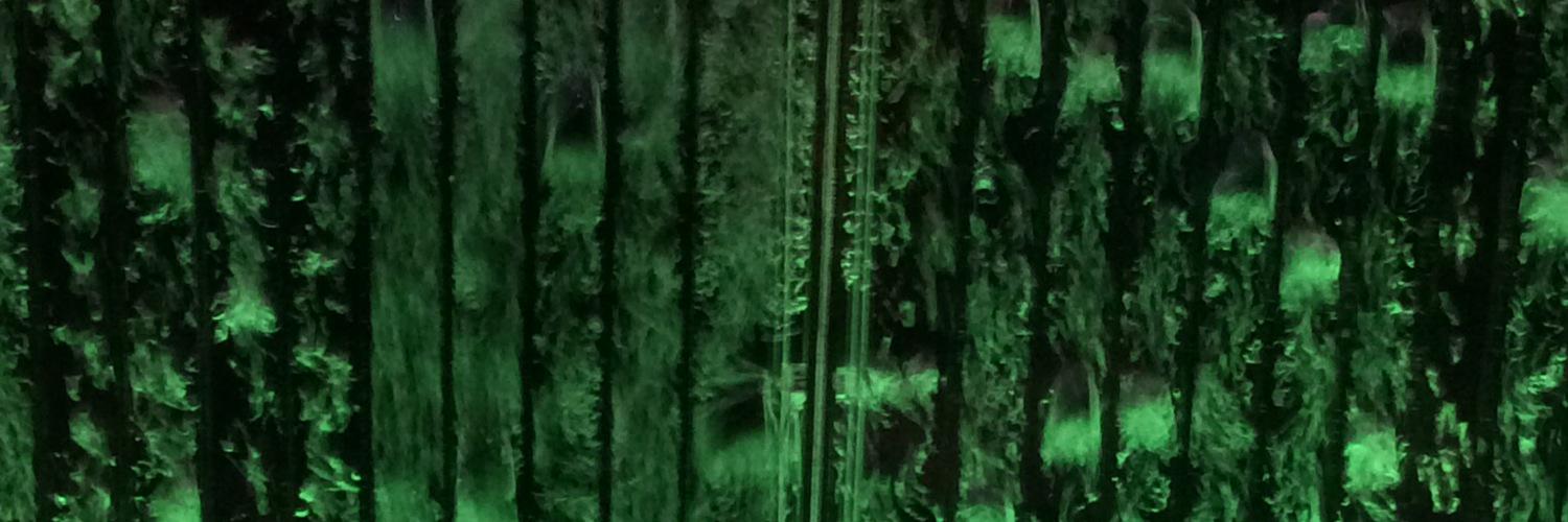 Lynn Olagundoye banner