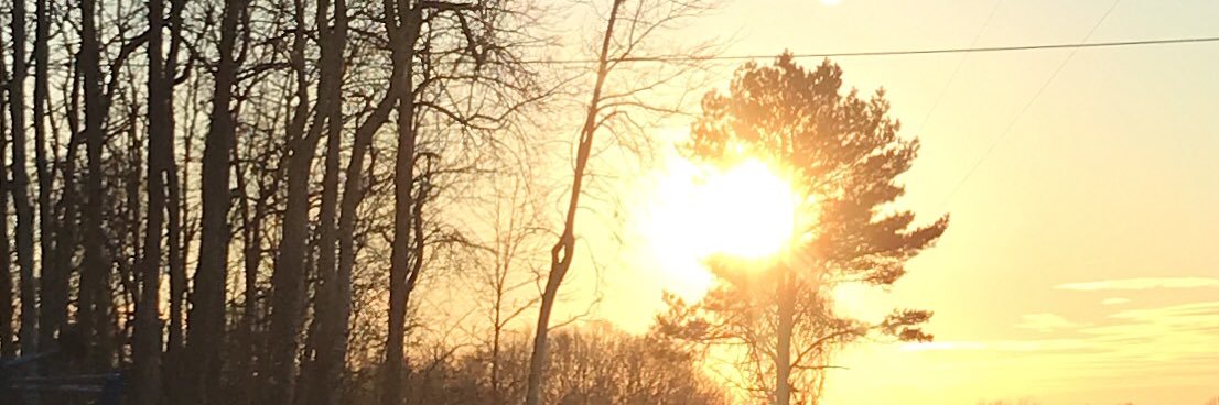 DebLubberts's profile banner image