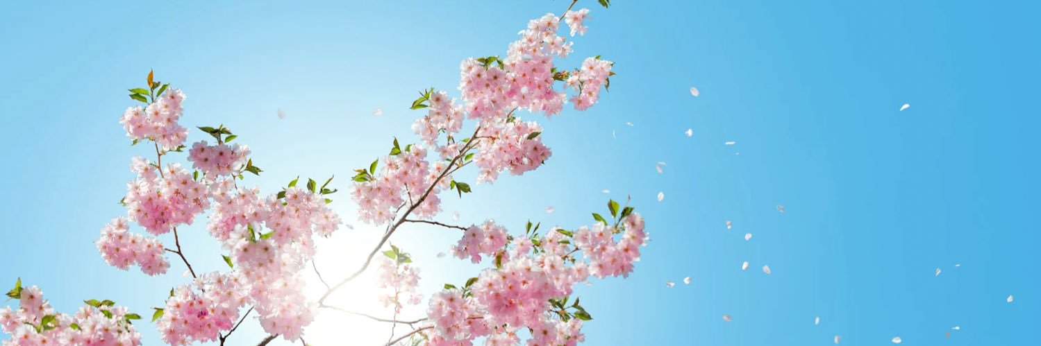 arare231's profile banner image