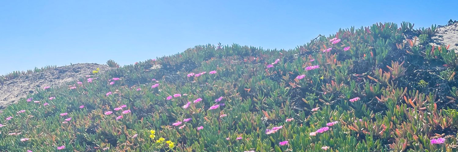 Sofía Rodríguez banner