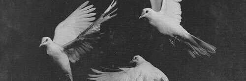 _amooo0n's profile banner image