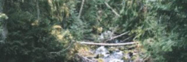sittingongrier's profile banner image