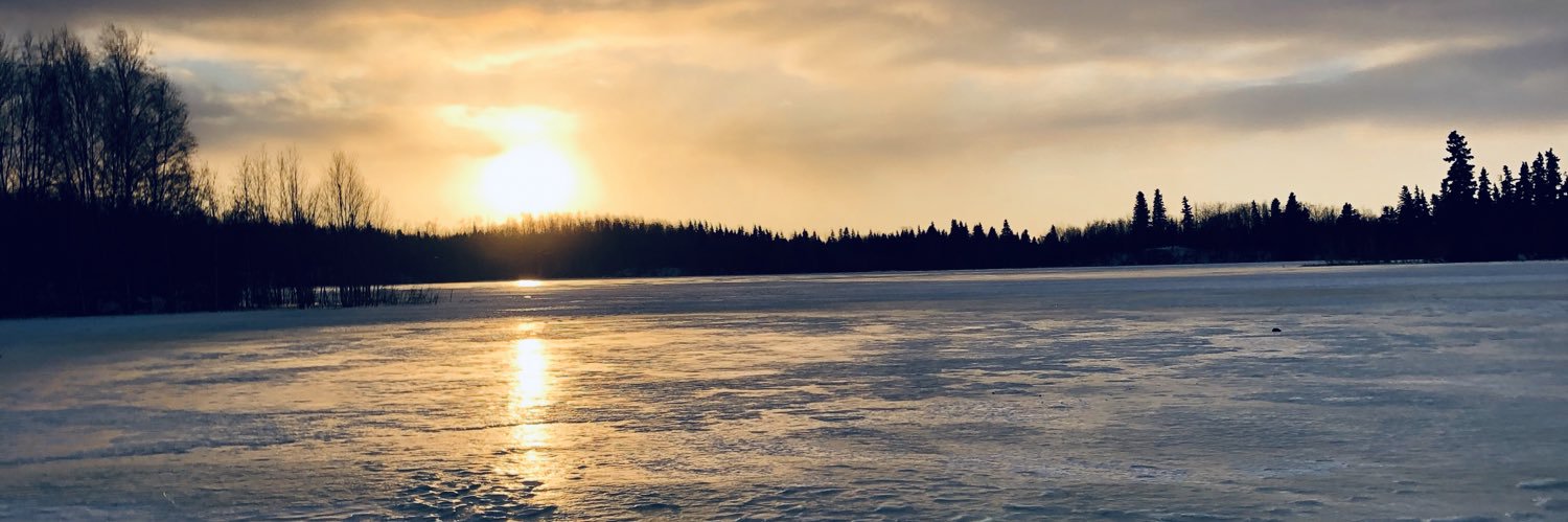 Megan Stobbe banner