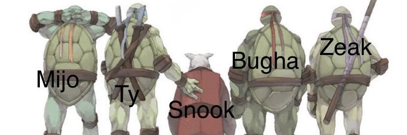 zeaked banner