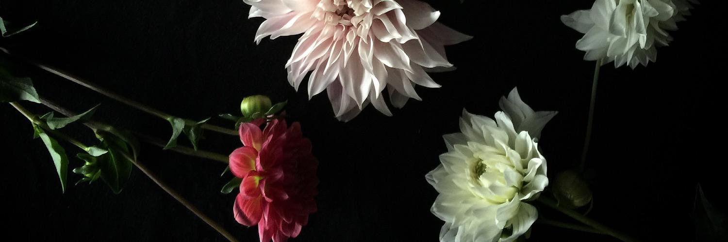 renrawyram's profile banner image