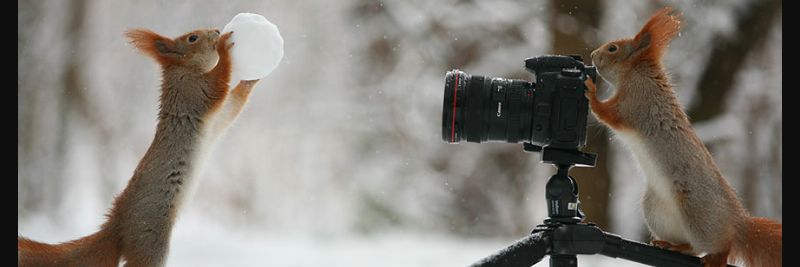 FahedTamara's profile banner image