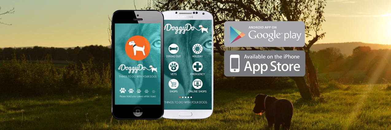 DoggyDoSA's profile banner image