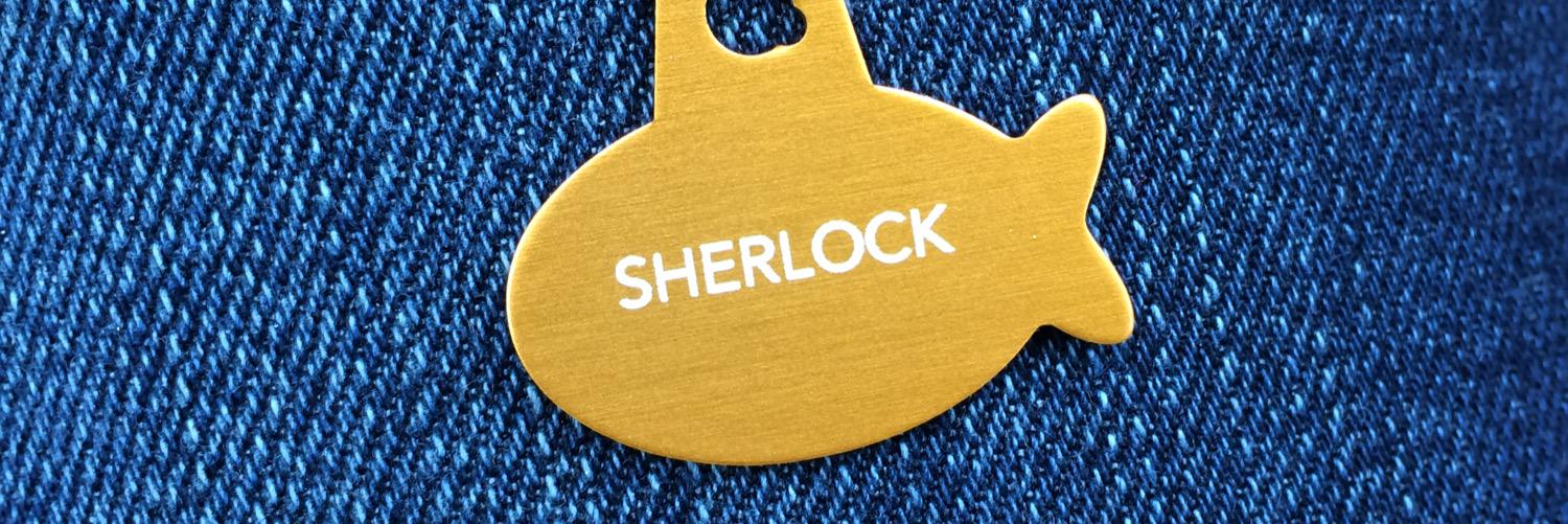 Krysten Koval banner