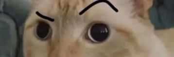 Lu_uz's profile banner image