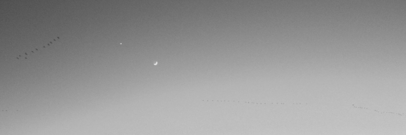 o b i ❄️🌙 banner