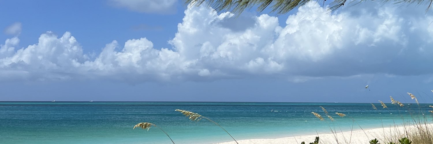 shaniimitchell's profile banner image