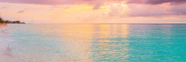 luu_erbin's profile banner image
