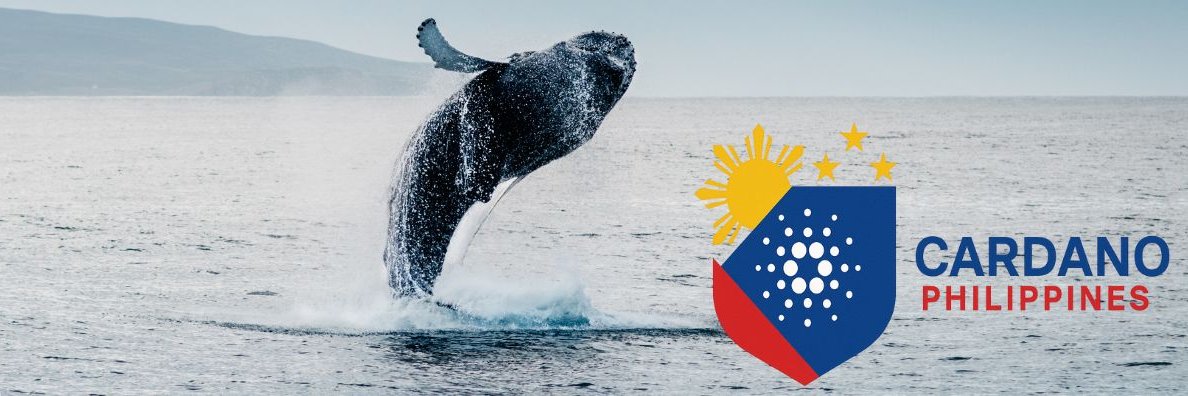 James G | Cardano PH banner