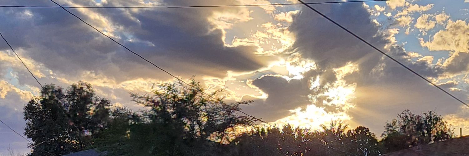 excusesr4mooses's profile banner image