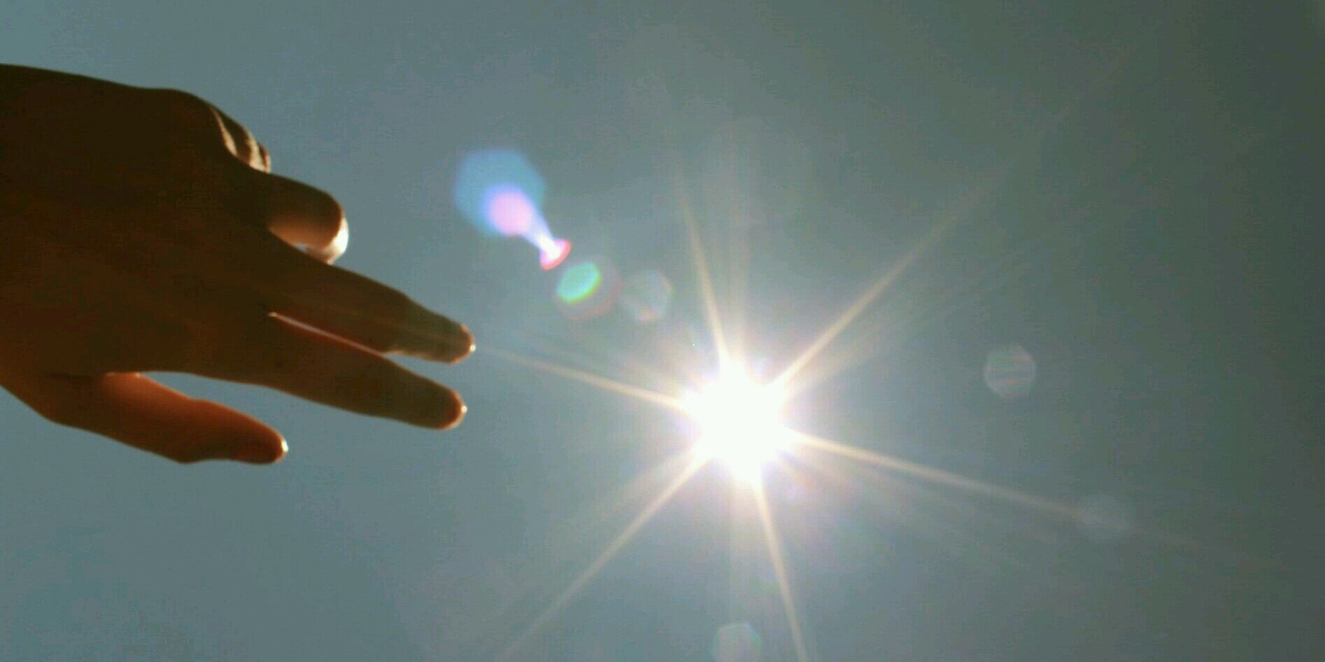 PatriciaAlberto banner