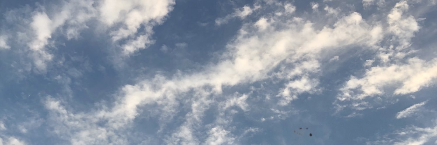 MatheusWeber3's profile banner image