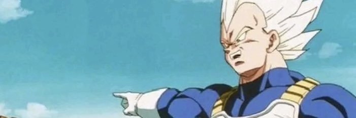 A1 banner