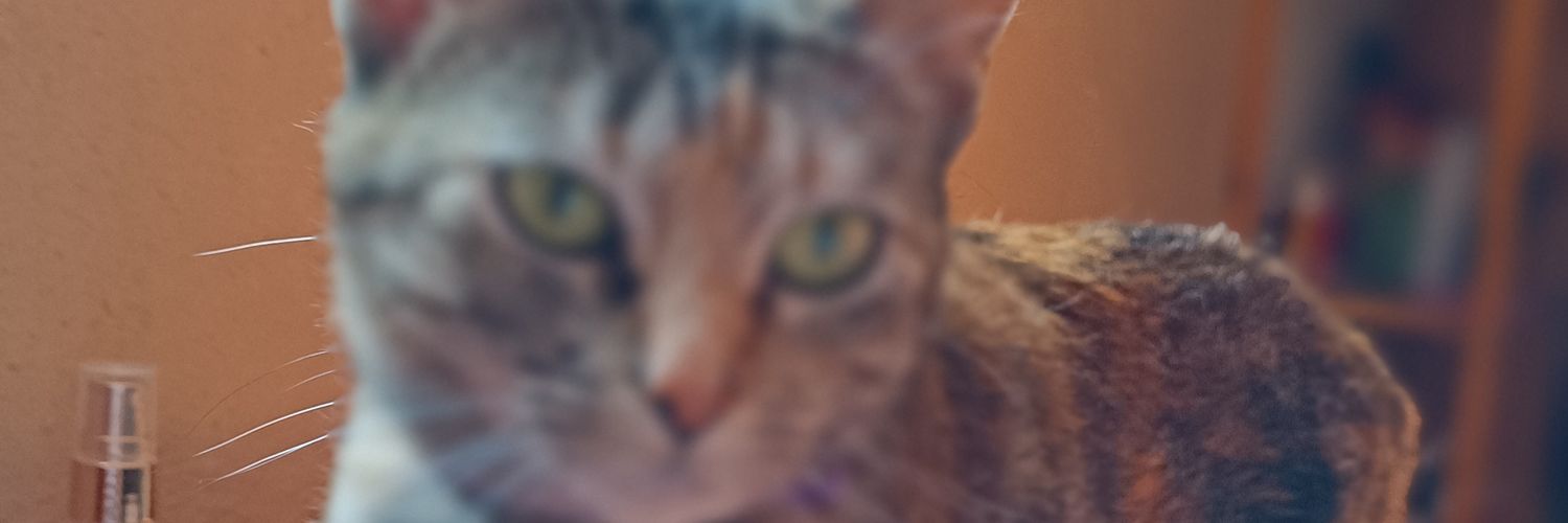 paaolameow's profile banner image