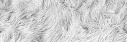 SeleneAzuul's profile banner image