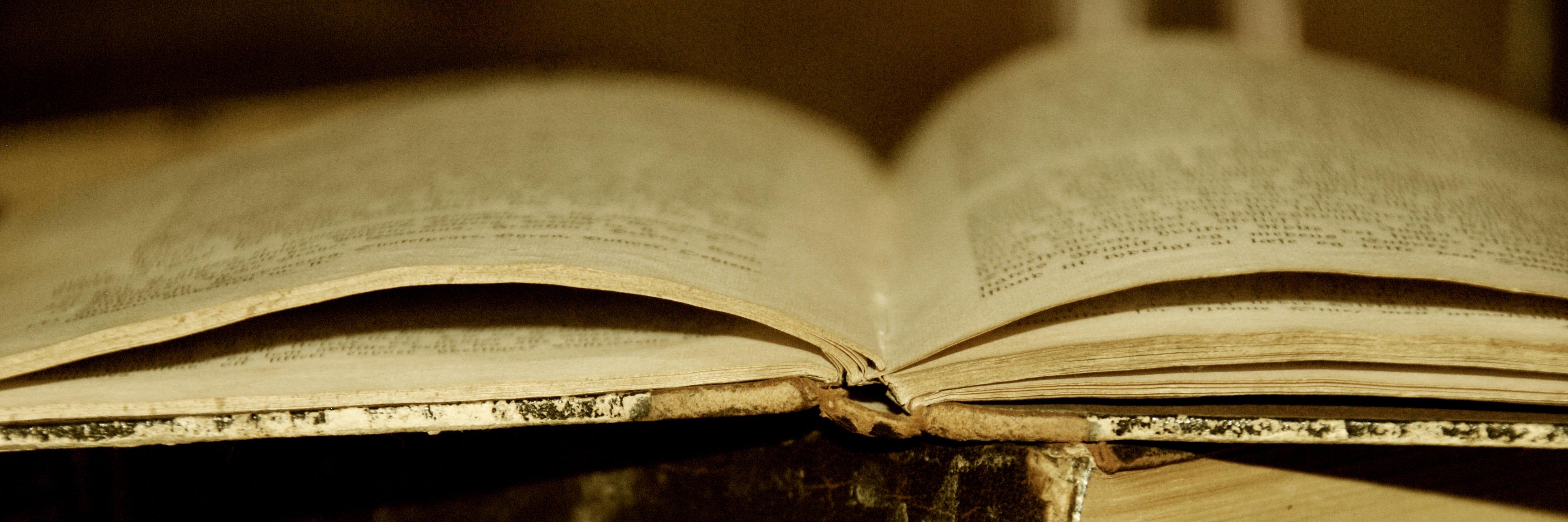 ReadingBookPost's profile banner image