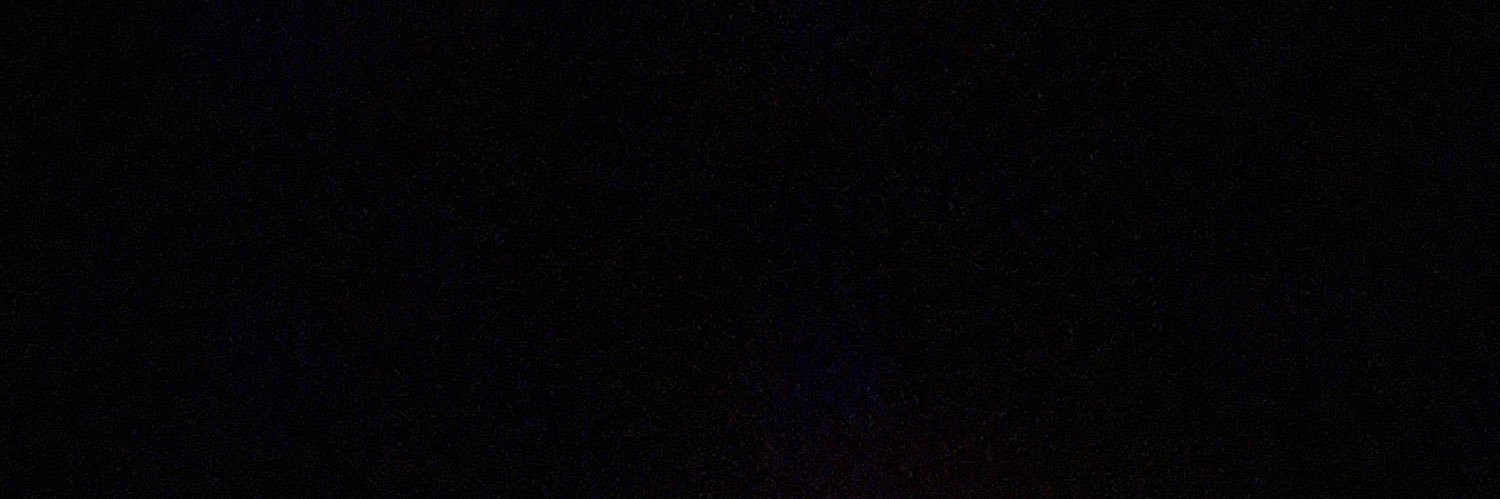 Mallorie Lyons banner