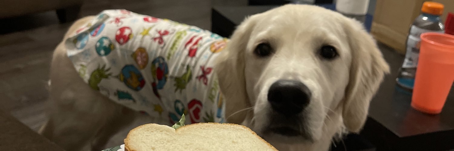 BerryBeast76's profile banner image