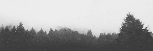 hunground's profile banner image