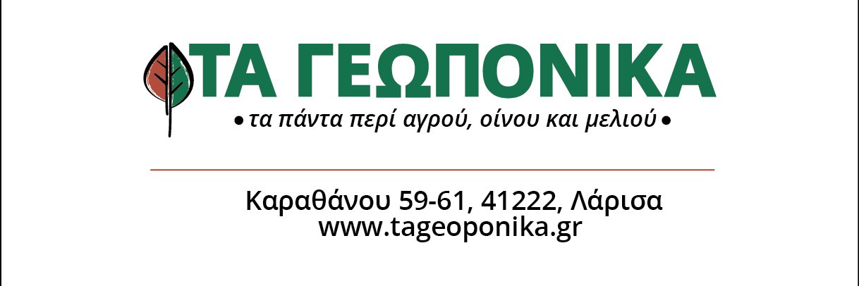 georgiamos's profile banner image