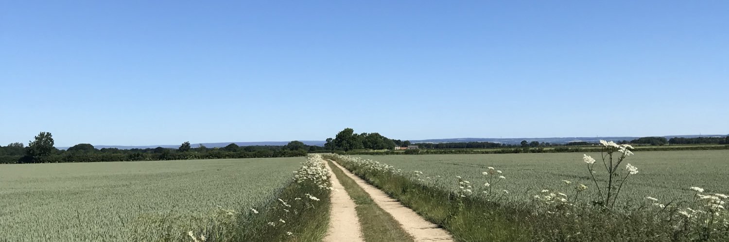 Dr Victoria Hoyle banner