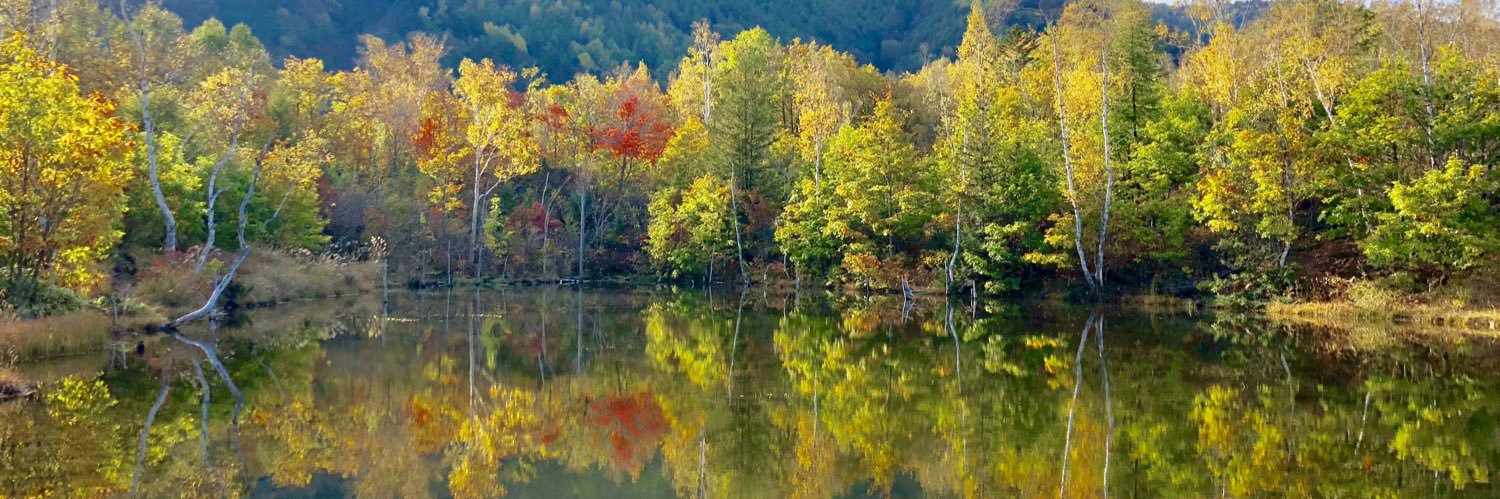 藤江佑馬 / Raicho banner