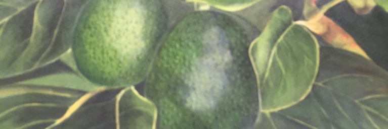 DFallbrook's profile banner image