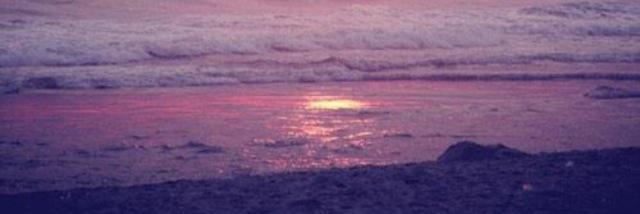 KaylaAnner's profile banner image