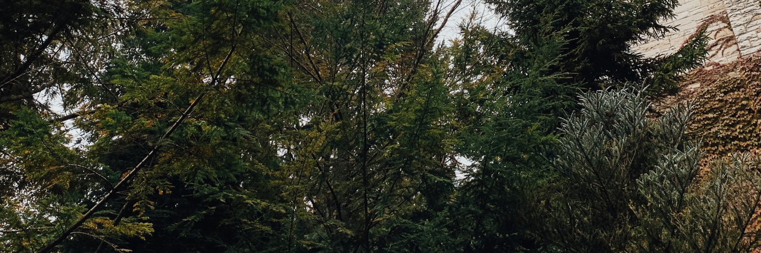AileenBusher's profile banner image