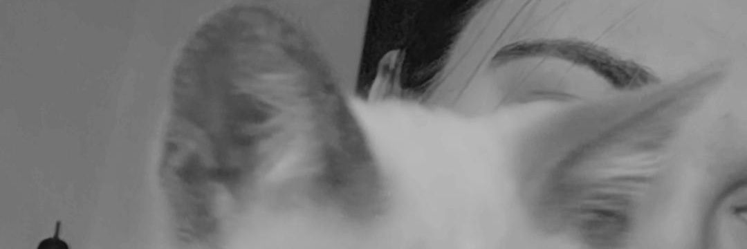 Bego banner