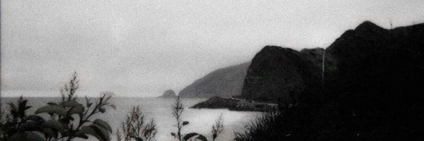 ReporterHao Profile Banner