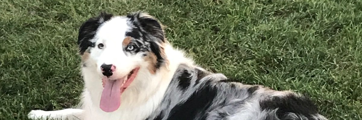 Liv_TripleB's profile banner image