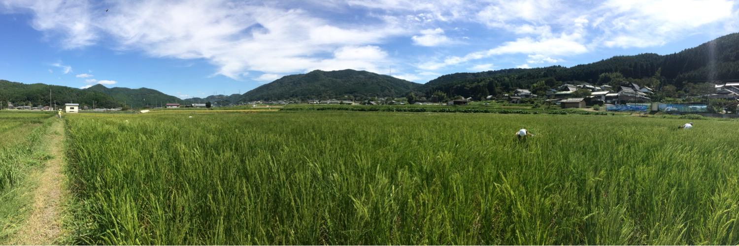 yamanaka_sake's profile banner image