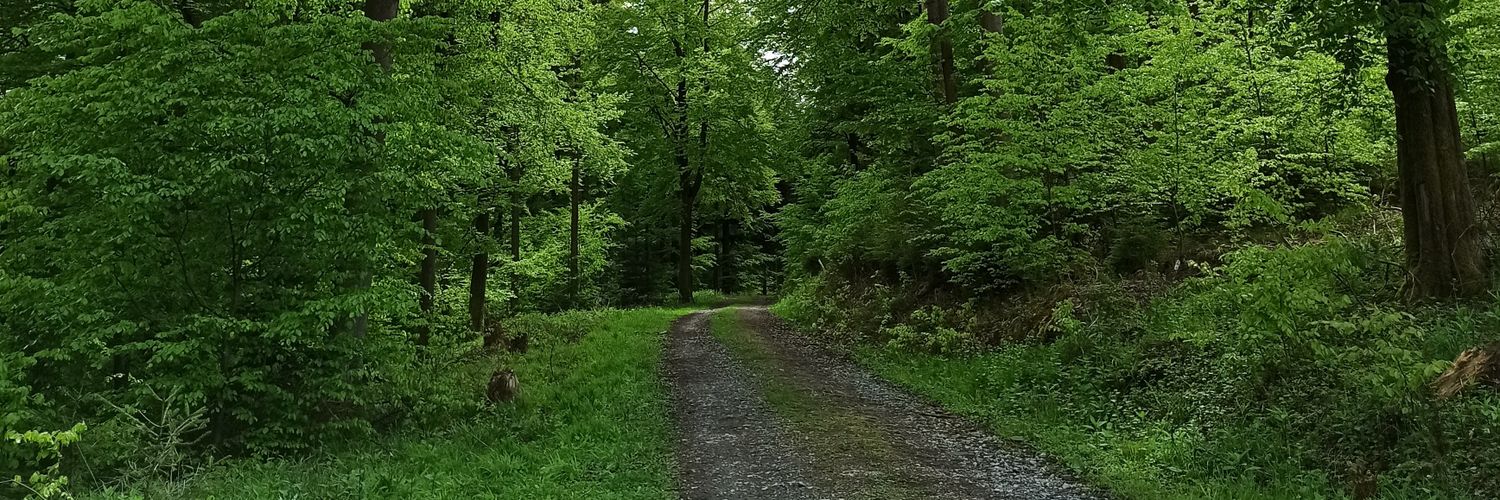 BuchWanderMama's profile banner image