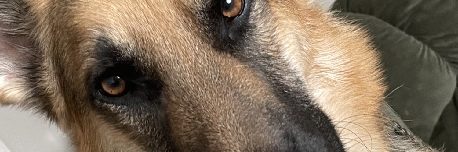mandagray80's profile banner image