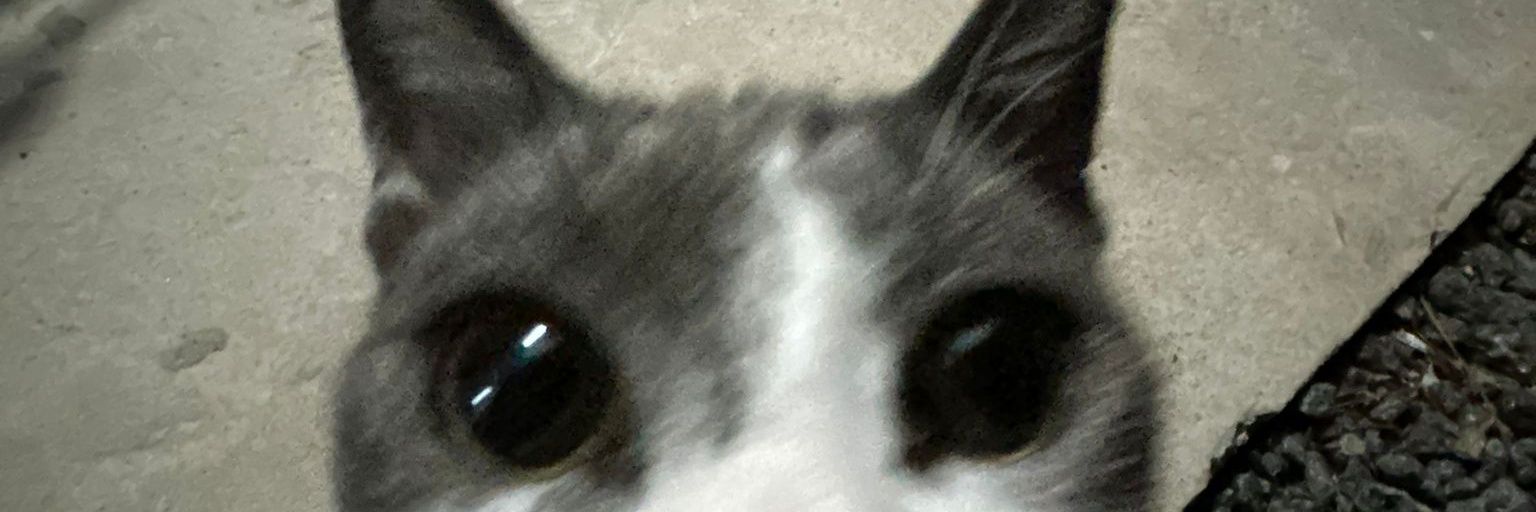 __ail001's profile banner image