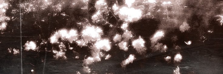 Hawalira's profile banner image