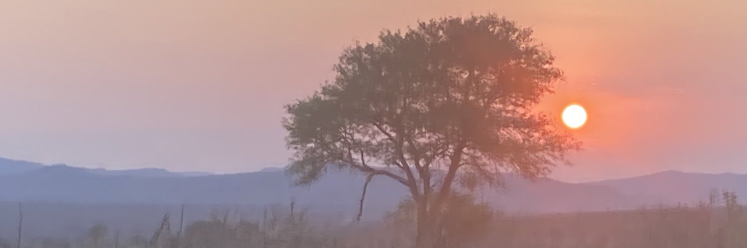 Sendjii90's profile banner image