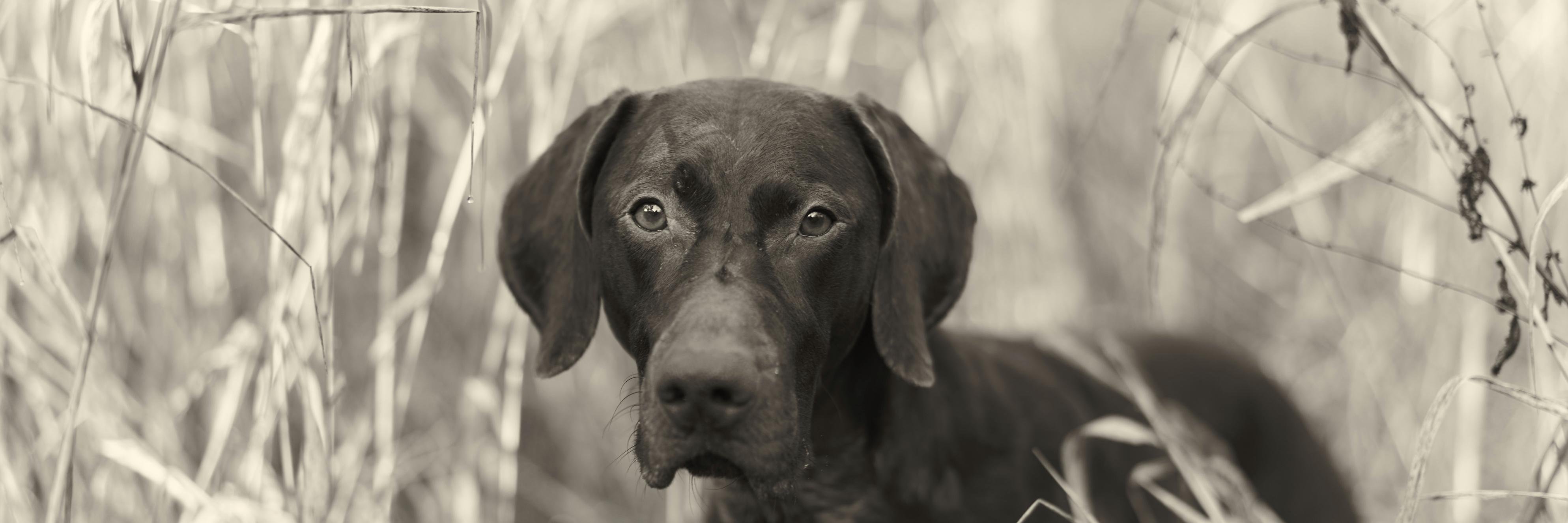 Philwrightphoto's profile banner image