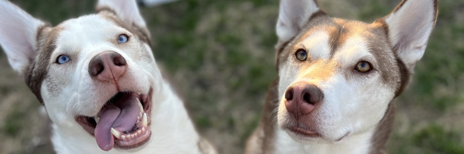 itshaileybaker's profile banner image