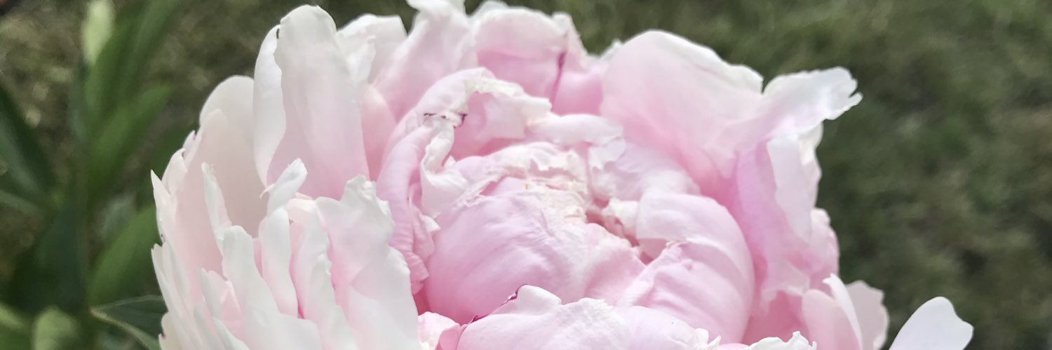 ルカ | Luca banner